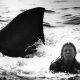 Shark Fin in Jaws 2 80x80