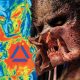 predator movies ranked kill count 80x80